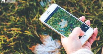 手机看片1024国产旧版  第3张